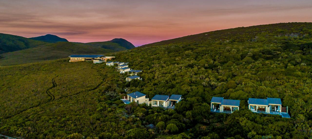 grootbos-tea-fynbos-landscapes.jpg